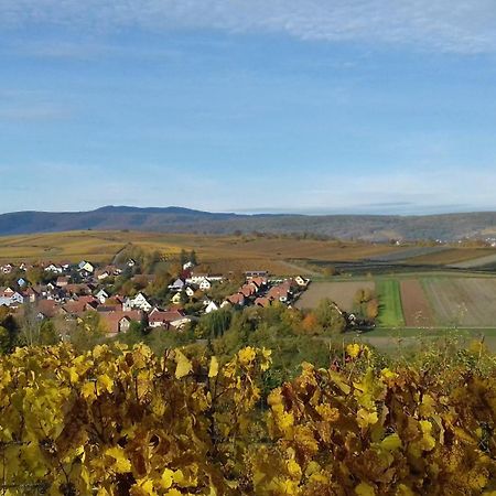 Le Repaire Des Hirondelles - Le Colombage Villa Scharrachbergheim-Irmstett ภายนอก รูปภาพ
