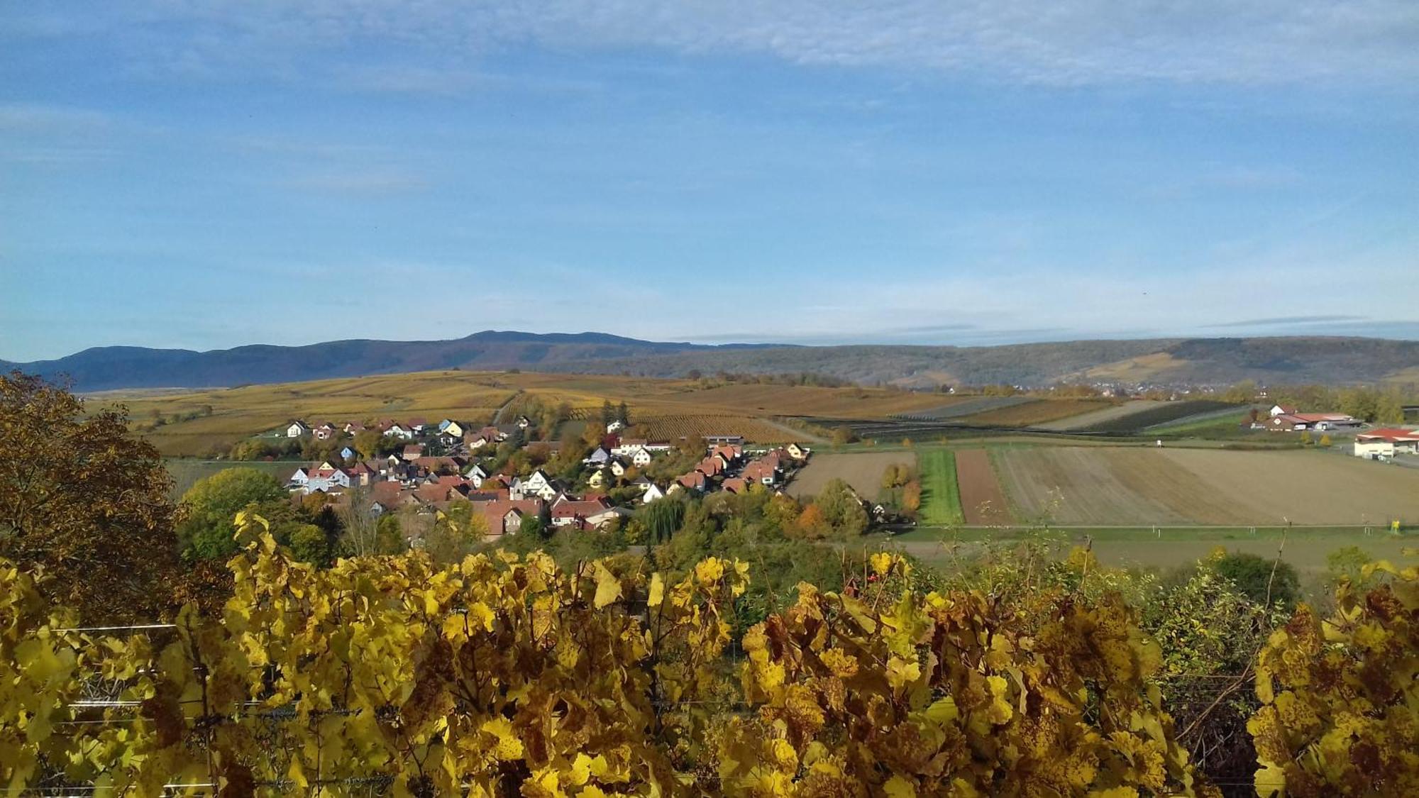 Le Repaire Des Hirondelles - Le Colombage Villa Scharrachbergheim-Irmstett ภายนอก รูปภาพ